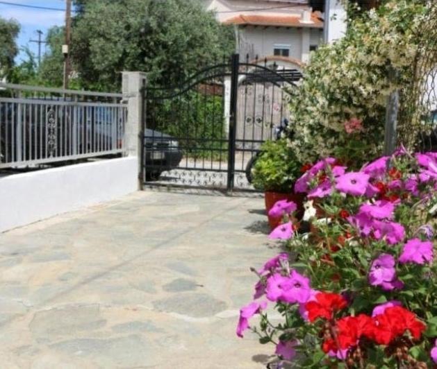 Evelyn Home Thassos Exteriör bild